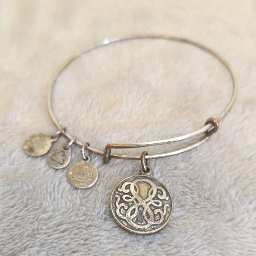 #042 Alex And Ani Silver Charm Bangle Bracelet - Picture 3 of 3